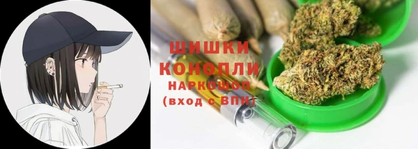 сатива Алзамай